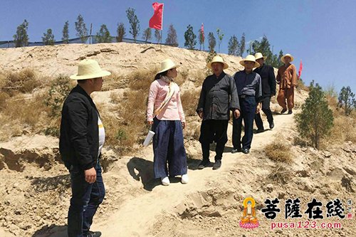 慈善-对于植树护林报恩寺是认真的 江西青原弘济慈善基金会一起出力