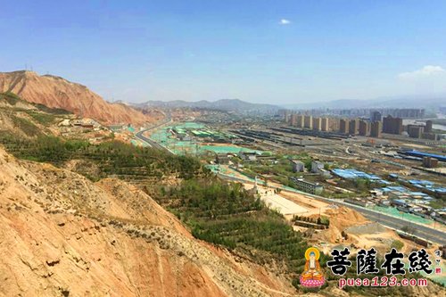 慈善-对于植树护林报恩寺是认真的 江西青原弘济慈善基金会一起出力