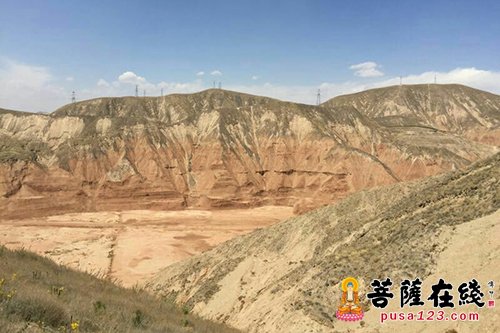 慈善-对于植树护林报恩寺是认真的 江西青原弘济慈善基金会一起出力