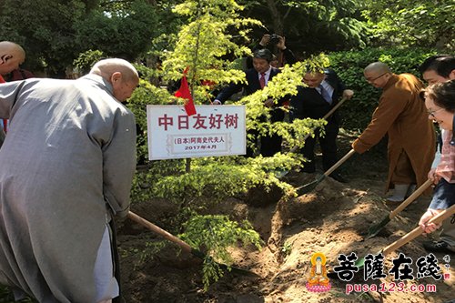 禅宗-中日两黄檗会访河北正定 寻访禅宗黄檗临济渊源