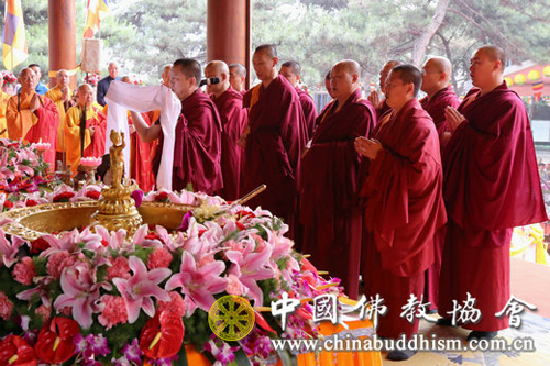 佛教-中国三大语系佛教界齐聚灵光寺 共庆2017佛诞节