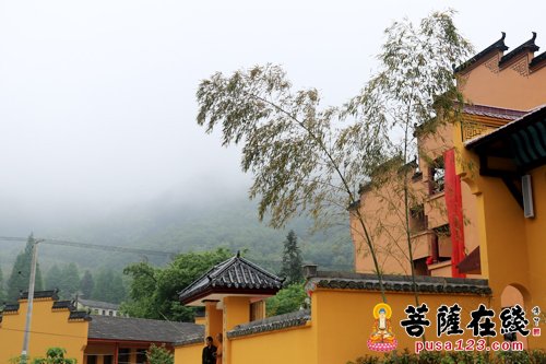 黄山-弘扬中华传统文化“复松寺画院”今日落地黄山
