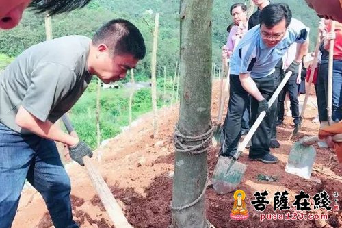 王进足-打造礼佛观光胜地 福清市领导赴万福寺开展黄檗树种植活动