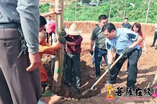 王进足-打造礼佛观光胜地 福清市领导赴万福寺开展黄檗树种植活动