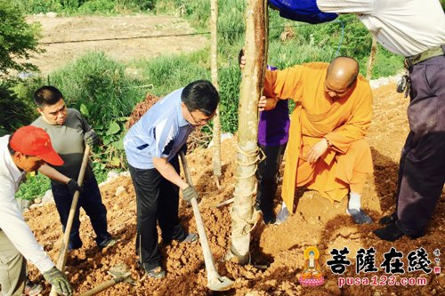 王进足-打造礼佛观光胜地 福清市领导赴万福寺开展黄檗树种植活动