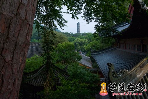 天台山-天台山国清讲寺、高明讲寺取消门票 免费向游客开放
