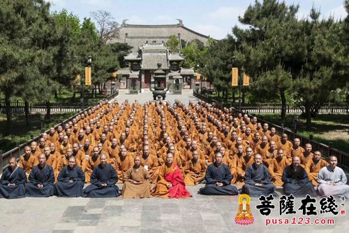 佛教-道极大和尚带领佛子走进奉国寺 领略千年古寺风采