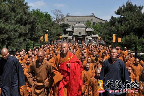 佛教-道极大和尚带领佛子走进奉国寺 领略千年古寺风采