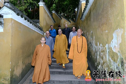佛教-道慈大和尚一行视察洛迦山 要求加强寺院道风建设