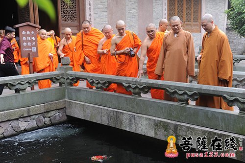 佛教-云南省南传佛教代表参访团参访七塔禅寺