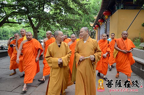 佛教-南传佛教代表团参访普陀山 王健司长、道慈法师亲切会见