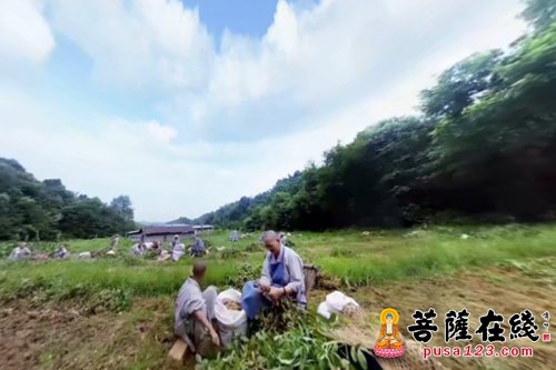 vr-曹山宝积寺VR作品《参见小师父》 获邀参加戛纳电影节展映