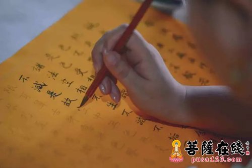 会稽山-会稽山龙华寺短期禅修活动 在生活中领悟禅