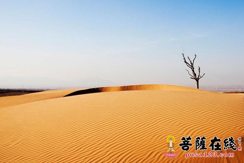 佛教-走向世界：当代中国佛教应有的自信与担当