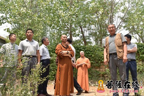 佛教-就申办佛学院事宜 山东省佛教协会会长仁昌法师一行调研合卢寺