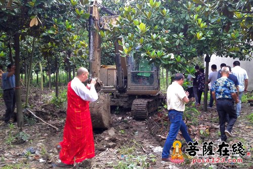宜阳-宜阳寺大雄宝殿复建工程启动 与会信众共同见证