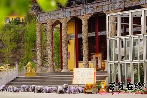 新航道-个性化修学——正觉寺僧伽教育驶入新航道