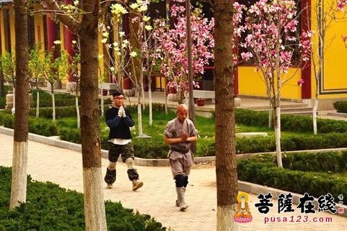 新航道-个性化修学——正觉寺僧伽教育驶入新航道