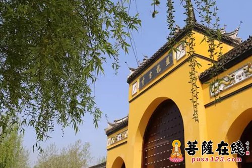 阜宁县-江苏盐城市政协副主席沈洪清一行赴阜宁盘龙古寺调研