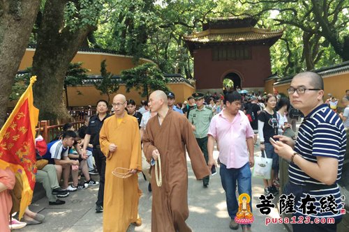 普陀山-为预防夏季安全隐患 普陀山佛协排查全山寺院