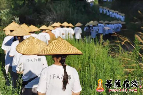 灵隐寺-杭州灵隐寺“禅行天下”修学营圆满落幕
