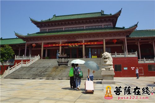 佛教-莲开夏日 抚州大金山禅寺举办禅修营活动