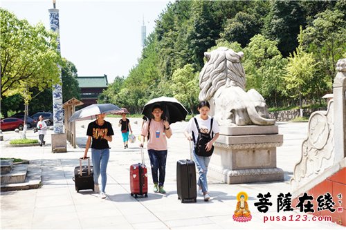 佛教-莲开夏日 抚州大金山禅寺举办禅修营活动