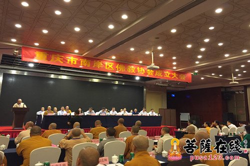 佛教-重庆市南岸区佛协成立暨第一届代表会议召开