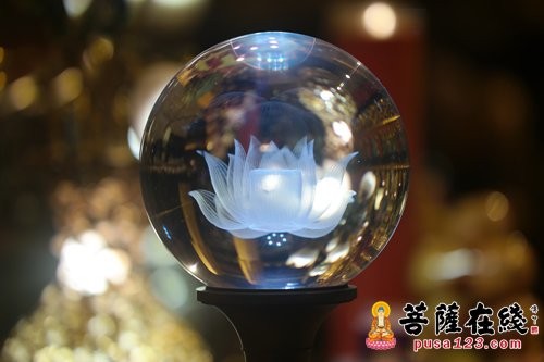 菩提心-抚州大金山禅寺第十二届禅修营开营