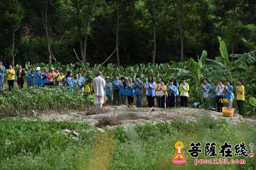 佛教-莆田南少林寺第五届“禅武之旅”青年营落下帷幕