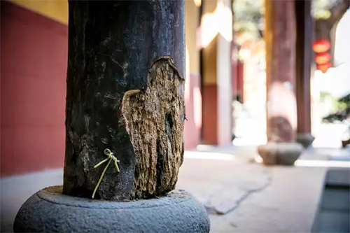 玉佛寺-安全为先 上海玉佛寺大雄宝殿平移修缮