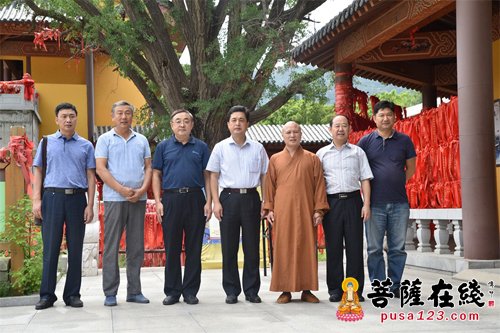佛教-烟台市委统战部于永信一行莅临合卢寺视察调研指导工作