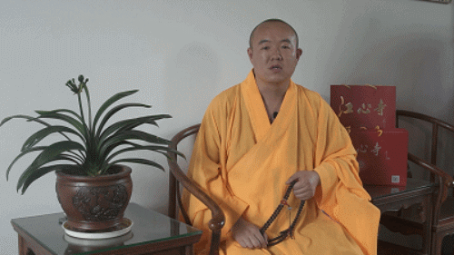月饼全面升级 南通江心寺举行净素月饼品尝会