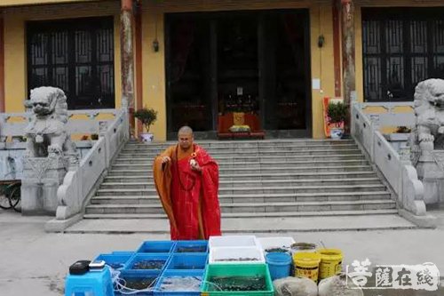 地藏菩萨本愿经-江苏西来古寺第九届四十九永日地藏法会圆满 地藏菩萨本愿经-江苏西来古寺第九届四十九永日地藏法会圆满