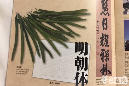 长崎-2017厦门国际投资贸易洽谈会在厦门国际会展中心启幕