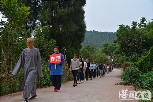 报国寺-体验蜀中禅修 文殊院青年佛学会参访乐至报国寺