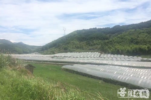 畲族-开元志业文教基金会精准扶贫崇儒畲族乡