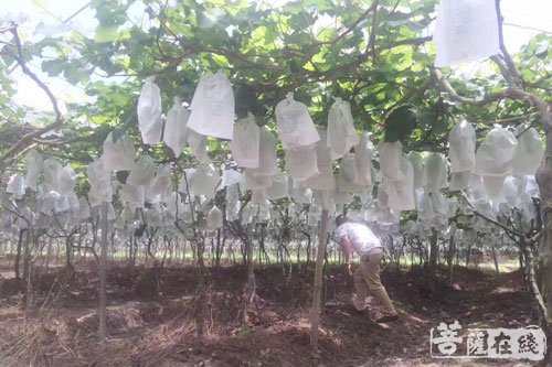畲族-开元志业文教基金会精准扶贫崇儒畲族乡