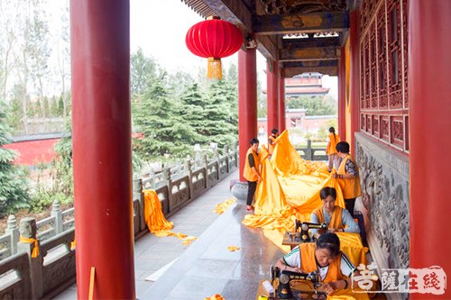 南海禅寺-常持清净心处处可修行——记南海禅寺辛勤的义工