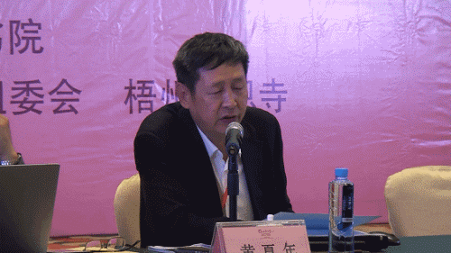 学习十九大精神 践行“一带一路”倡议 广西梧州举行佛教文化研讨会