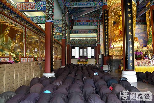 观音-恭迎观世音菩萨出家日 珠海普陀寺举行系列法会
