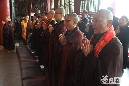 佛教-诸佛欢喜降吉祥 大金山禅寺恭迎观世音菩萨出家日