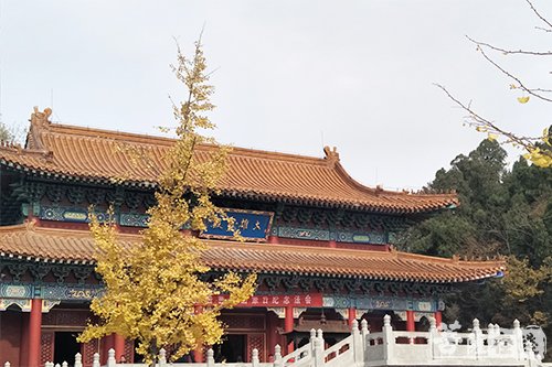 观世音菩萨圣号-山东安山寺举行观音菩萨出家日纪念法会 妙明法师主法