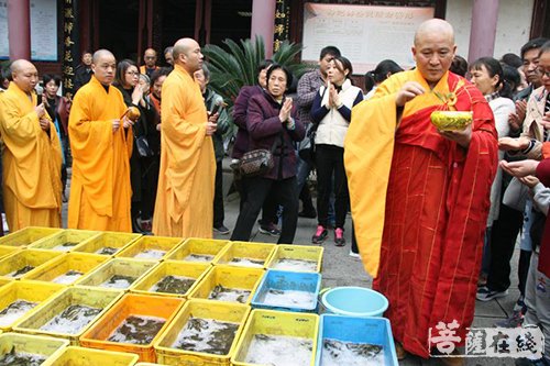 佛教-武汉宝通禅寺举行观音菩萨出家纪念日法会