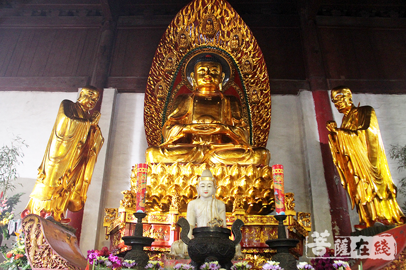 中国佛教宗派图片