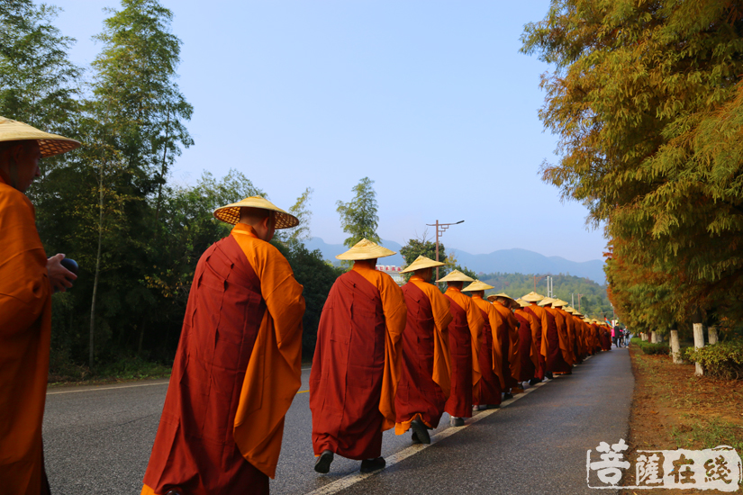 托钵僧团,托钵僧,托钵僧舞_大山谷图库