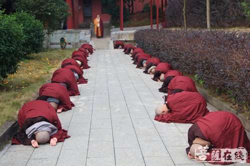 虔诚跪拜(图片来源:菩萨在线 摄影:妙雪)