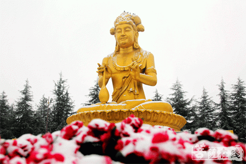 法门寺-雪挂数琼枝 陕西法门寺喜迎新年第一场瑞雪