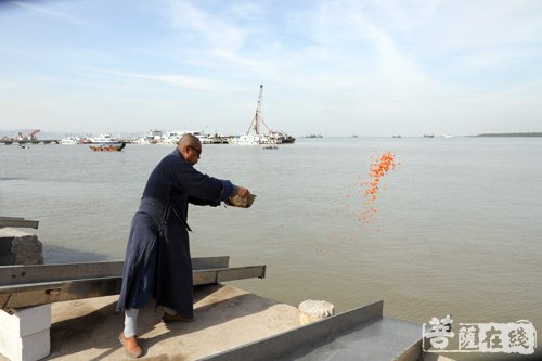 佛教-大悲甘露普利十方 珠海普陀寺举行遍洒三千法会