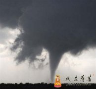 美南部数州遭龙卷风袭击 已造成280多人死亡